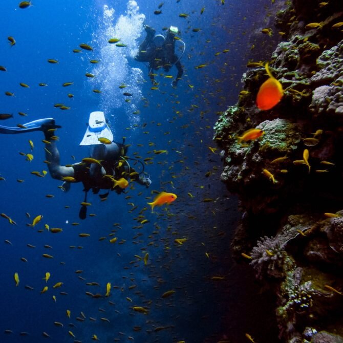 Scuba Diving