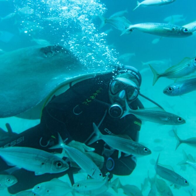 Scuba diving